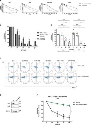 Co-operation of MCL-1 and BCL-XL anti-apoptotic proteins in stromal protection of MM cells from carfilzomib mediated cytotoxicity